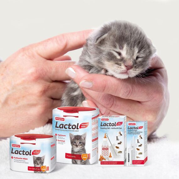 BEAPHAR - Lactol Aufzucht-Milch - Für Kätzchen - Von Geburt An - Muttermilchersatz Mit DHA, Vitaminen Und Mineralien - Unterstützt Gesunde Aufzucht Und Stärkung - 500 g (Packung mit 2)