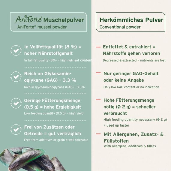 AniForte Grünlippmuschelpulver für Hunde & Katzen 250g - VERGLEICHSSIEGER 2023 Gelenkpulver in Vollfettqualität, unterstützt Gelenke & Agilität, Grünlippmuschel Pulver mit hoher Akzeptanz