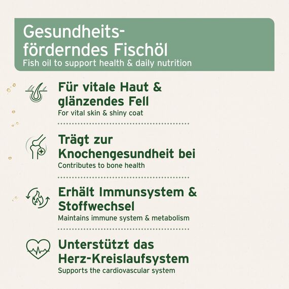 VERGLEICHSSIEGER SEHR GUT 2025 AniForte Lachsöl Hunde 1 Liter – Reich an Omega 3 & 6, Fischöl Hund hochdosiert, echte Lebensmittelqualität ohne Zusätze, frisch abgefüllt in Deutschland