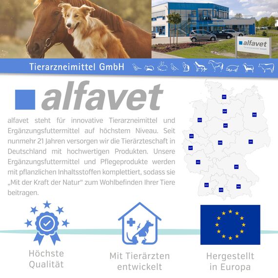 alfavet ReConvales Tonicum Katze, 3 x 45ml, appetitanregendes Ergänzungsfuttermittel zur Rekonvaleszenz und bei Untergewicht