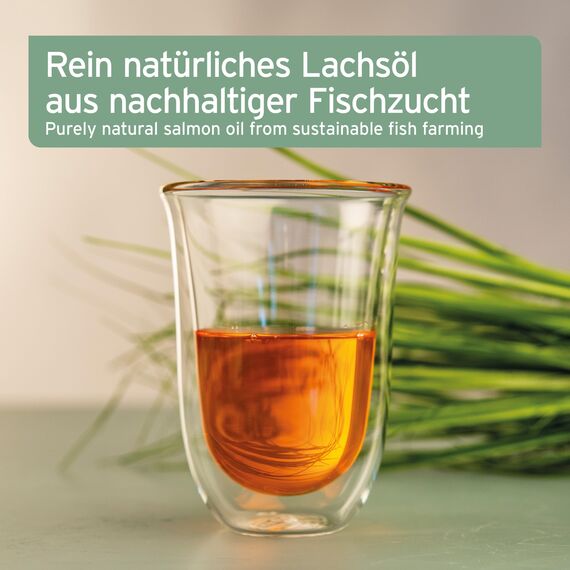 VERGLEICHSSIEGER SEHR GUT 2025 AniForte Lachsöl Hunde 1 Liter – Reich an Omega 3 & 6, Fischöl Hund hochdosiert, echte Lebensmittelqualität ohne Zusätze, frisch abgefüllt in Deutschland