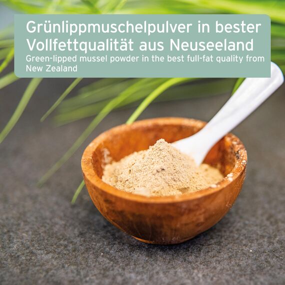 AniForte Grünlippmuschelpulver für Hunde & Katzen 250g - VERGLEICHSSIEGER 2023 Gelenkpulver in Vollfettqualität, unterstützt Gelenke & Agilität, Grünlippmuschel Pulver mit hoher Akzeptanz
