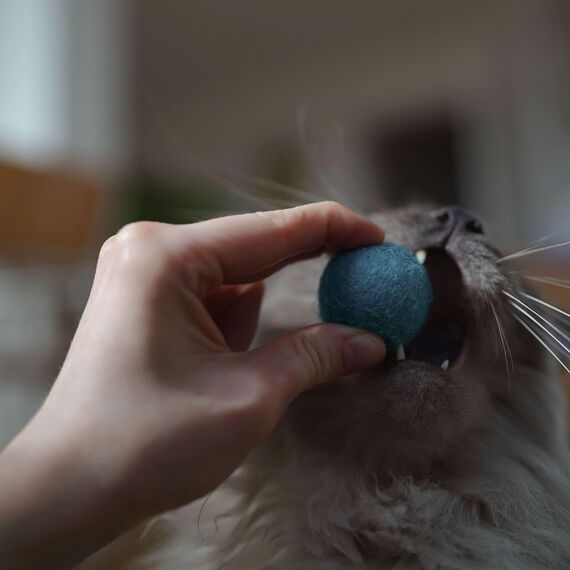 LucyBalu® Filzbälle für Katzen | Katzenspielzeug | Katzenbälle aus Filz | Spielsachen aus 100% Wolle | Natürliches Spielzeug für Kätzchen | Spielbälle Fair aus Nepal | 6 Stück | Blau