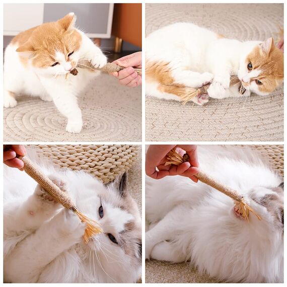 vsshe Katzenminze Sticks,6 Stück Matatabi Katzensticks Katzenminzen Spielzeug Matatabi Stick Katzen Sticks Katzenminze Zähne Reinigung Dental Katzenspielzeug für Katzen Zahnpflege Natürlich Sicher