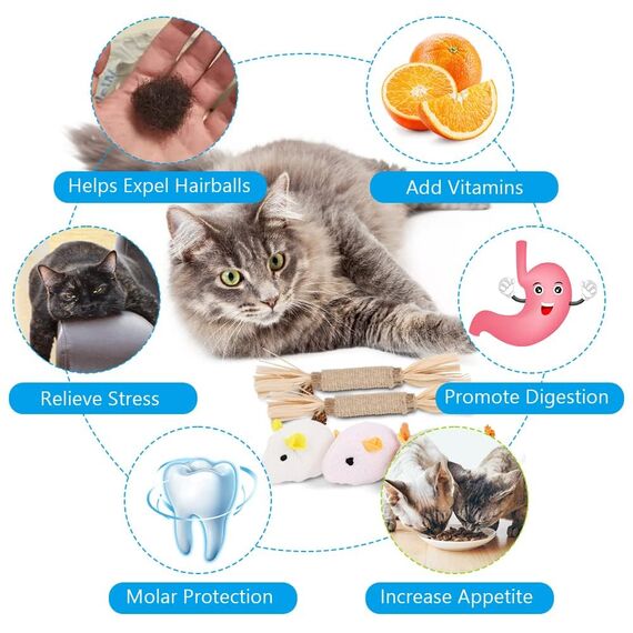 Adiwo Katzenspielzeug: 6 Mäuse + 2 Matatabi-Kaustäbchen, natürliche Zahnreinigung und Spaß
