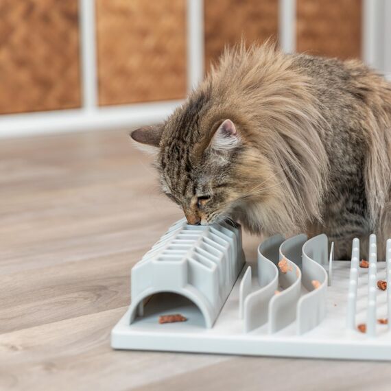 TRIXIE Katzenspielzeug Cat Activity Fun Board, Intelligenzspielzeug für Katzen, Strategie-Spiel zur geistigen Förderung & spielerischem Lernen, 30 × 40 cm - 4590