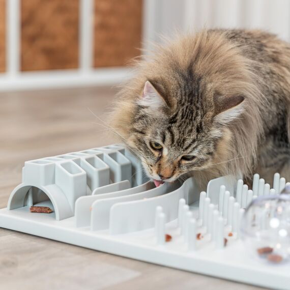 TRIXIE Katzenspielzeug Cat Activity Fun Board, Intelligenzspielzeug für Katzen, Strategie-Spiel zur geistigen Förderung & spielerischem Lernen, 30 × 40 cm - 4590