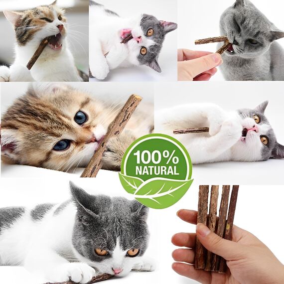 Vunpok 10 Stück Katzenminze Sticks, Katzenminze Spielzeug, Kauholz für Katzen, Gegen Mundgeruch, Kauspielzeug für Zahnpflege und gesunde Kaugewohnheiten