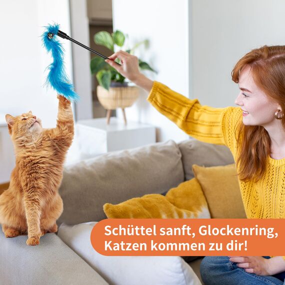 Toozey Katzenspielzeug 16 Stück, Katzen Spielzeug mit 2 STK versenkbare interaktive Katzenangel und 14 STK Feder/Bug/Fisch Ersatz mit Glocken, Bonus Aufbewahrungstasche