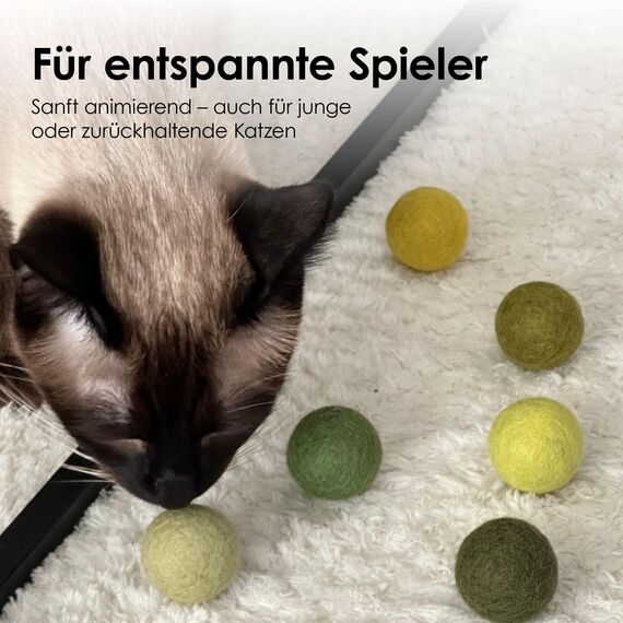 LucyBalu® Filzbälle für Katzen | Katzenspielzeug | Katzenbälle aus Filz | Spielsachen aus 100% Wolle | Natürliches Spielzeug für Kätzchen | Spielbälle Fair aus Nepal | 6 Stück | Grün