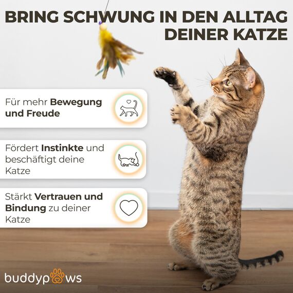buddypaws® Katzenangel stabil mit 4 Anhängern & Katzenminze – Ausziehbar 42-104 cm – Flexibles Glasfasermaterial – Katzenspielzeug Set mit Ersatzschnur – Spielangel für Katzen - Cat Toys