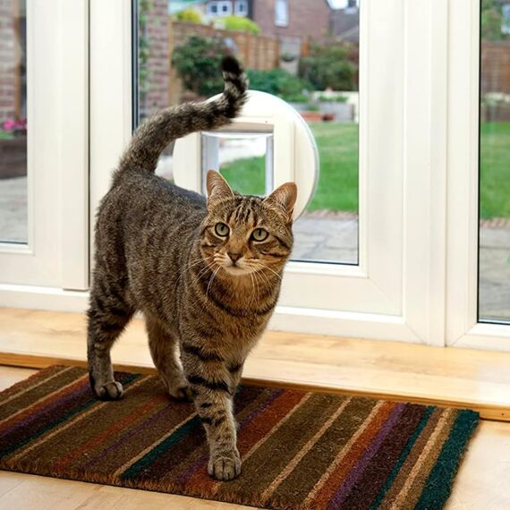 SureFlap Sure Petcare Mikrochip Katzenklappe, mit RFID-Halsbandanhänger und Mikrochip kompatibel, EIN-Tasten-Steuerung, zur Installation in Türen, Weiß, 4 AA Batterien erforderlich, Nicht enthalten