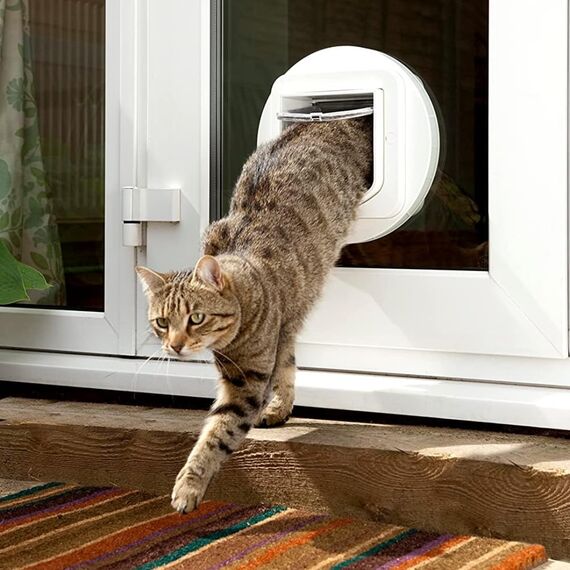 SureFlap Sure Petcare Mikrochip Katzenklappe, mit RFID-Halsbandanhänger und Mikrochip kompatibel, EIN-Tasten-Steuerung, zur Installation in Türen, Weiß, 4 AA Batterien erforderlich, Nicht enthalten