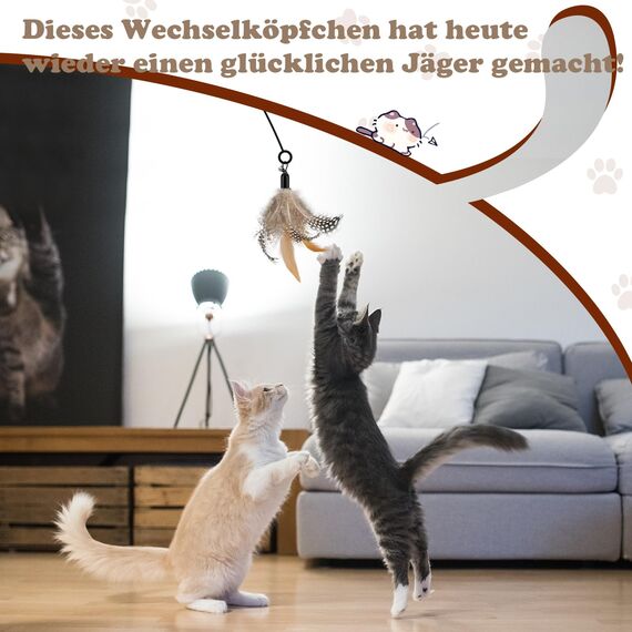 ROSAUI Katzenspielzeug Feder, 8 Katzenangel Anhänger，Federspielzeug für Katzen，Spielangel für Kitten