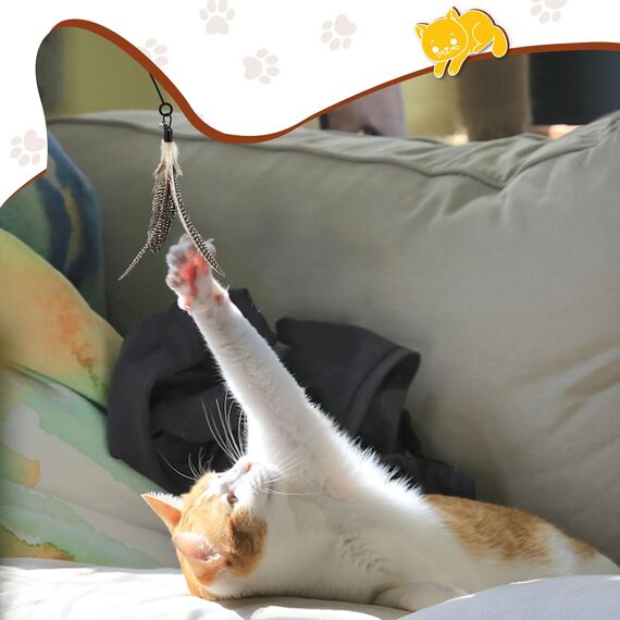 ROSAUI Katzenspielzeug Feder, 8 Katzenangel Anhänger，Federspielzeug für Katzen，Spielangel für Kitten