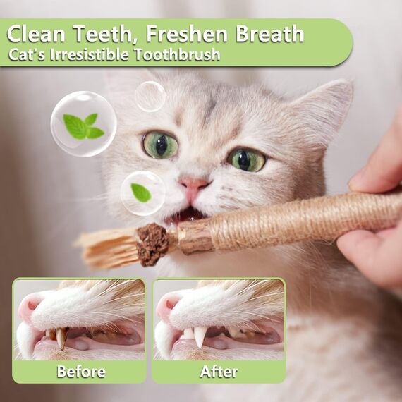 MarverFace 21 Stück katzenminze Sticks, 6 katzenminze Spielzeug 15 matatabi Sticks Katze kaustangen, Katzen kaustangen Sticks für Katzen Zahnpflege Natürlich Sicher