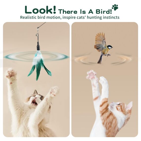 Pawaboo Katzenspielzeug - Interaktives Katzenangel Katze Spielzeug Katzen-Spielstab Katzenspielzeug-Stab mit Federn und 88cm Stab und Glocken für Kätzchen oder Katze, Weiß und Grün