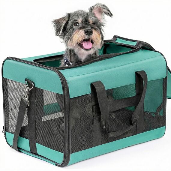 Conlun Hundetransportbox Weichseitig, Große Tasche für Katzen mit Innenleine, Transport für große Katzen und mittelgroße Hunde bis 9 kg, Zusammenklappbare Reisetasche für Welpen -Türkis,L