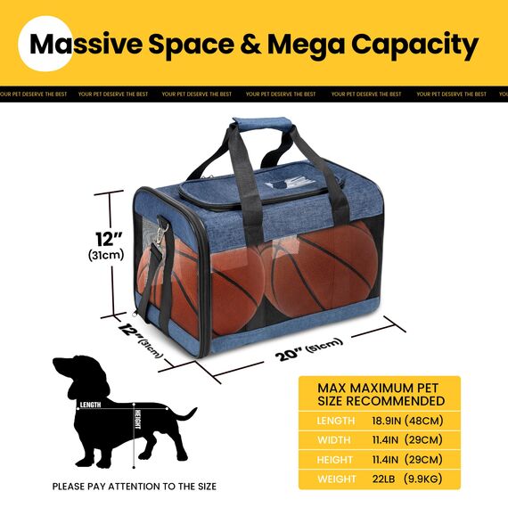 Conlun Hundetransportbox Weichseitig, Große Tasche für Katzen mit Innenleine, Transport für große Katzen und mittelgroße Hunde bis 9 kg, Zusammenklappbare Reisetasche für Welpen -Blau,L