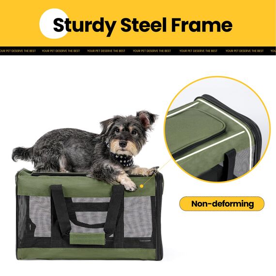 Conlun Katzenboxe Flugzeugtauglich, Weichseitige Hundetransportbox mit Innenleine, Transport für kleine bis mittelgroße Katzen und Welpen bis 7 kg, Zusammenklappbare Reisetasche -Grün,M