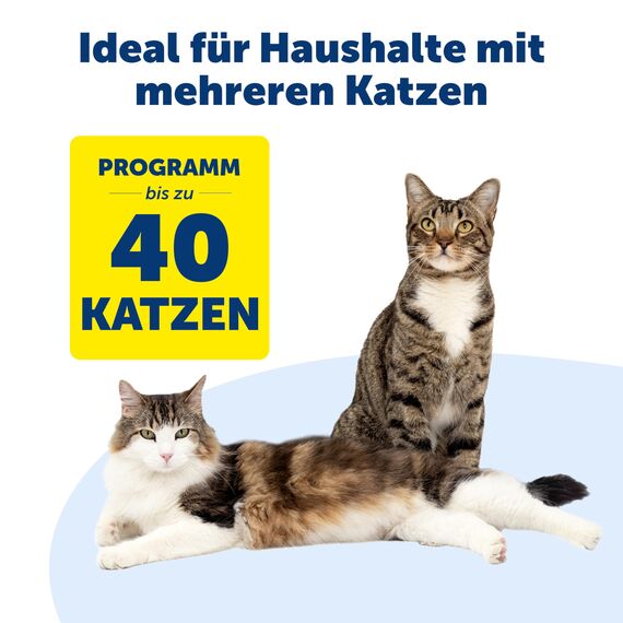 PetSafe Mikrochip Katzenklappe, Selektiver Zugang für Ihre Katze, hält fremde Tiere draußen, Katzen bis 7 kg, Weiß, 1 Stück (1er Pack)