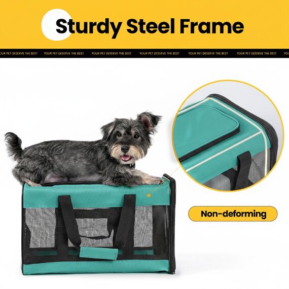 Conlun Hundetransportbox Weichseitig, Große Tasche für Katzen mit Innenleine, Transport für große Katzen und mittelgroße Hunde bis 9 kg, Zusammenklappbare Reisetasche für Welpen -Türkis,L
