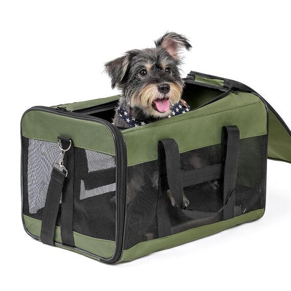 Conlun Hundetransportbox Weichseitig, Große Tasche für Katzen mit Innenleine, Transport für große Katzen und mittelgroße Hunde bis 9 kg, Zusammenklappbare Reisetasche für Welpen -Grün,L