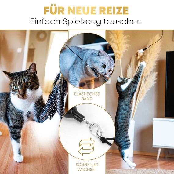 St.Pawly® Katzenangel - Katzenspielzeug - austauschbare Anhänger - Ersatzband - ergonomischer Holzgriff - nachhaltiges Spielzeug für Katzen - stabil