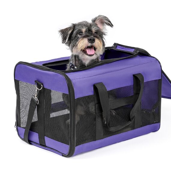 Conlun Hundetransportbox Weichseitig, Große Tasche für Katzen mit Innenleine, Transport für große Katzen und mittelgroße Hunde bis 9 kg, Zusammenklappbare Reisetasche für Welpen -Lila,L