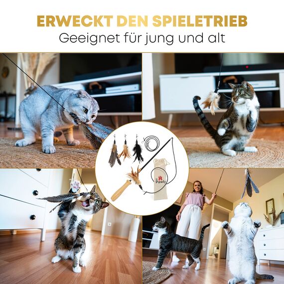 St.Pawly® Katzenangel - Katzenspielzeug - austauschbare Anhänger - Ersatzband - ergonomischer Holzgriff - nachhaltiges Spielzeug für Katzen - stabil