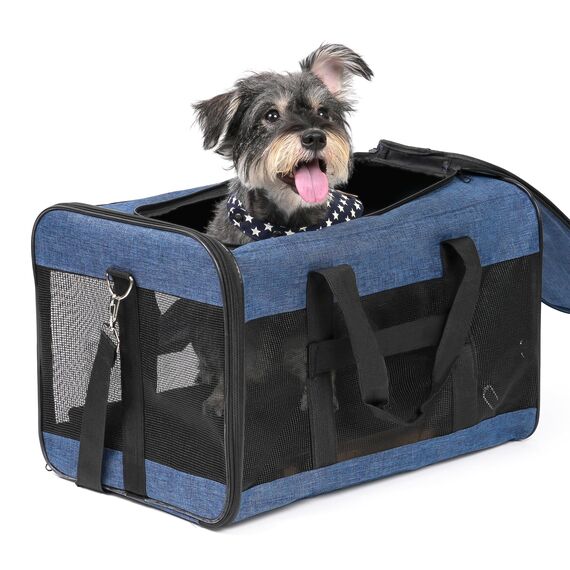 Conlun Hundetransportbox Weichseitig, Große Tasche für Katzen mit Innenleine, Transport für große Katzen und mittelgroße Hunde bis 9 kg, Zusammenklappbare Reisetasche für Welpen -Blau,L