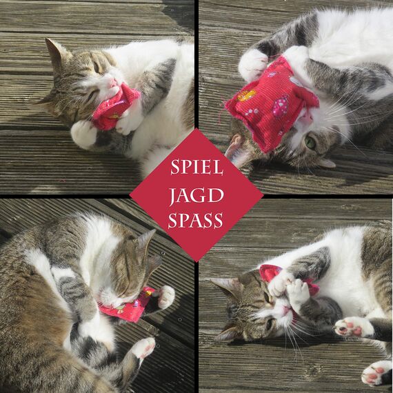 Joli Moulin Premium Katzenminze Katzenspielzeug Schmusekissen Duftkissen Oeko-TEX 100 der Umwelt zuliebe, Konservierungsbeutel, Catnip 5 Stück für glückliche Katzen (Katzenminze)