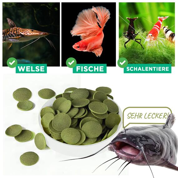 EWL Naturprodukte Wels Futtertabletten 1 kg (ca. 2 L), XL Pack, Welsfutter, Wels Chips mit Spirulina, Fischfutter Aquarium, Welstabletten, geprüfte Qualität von deutschem Anbieter
