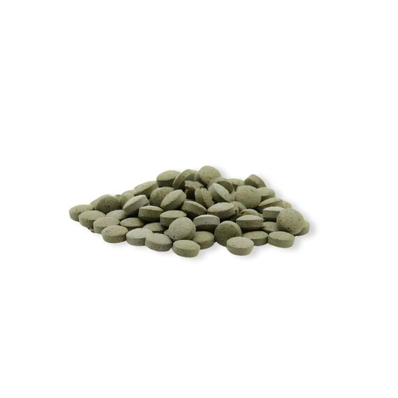 AQUARIS Bottom Tabletten - 220 Stück / 145 g / 250 ml. Zierfischfutter für Welse und Schmerlen. Sinkende Futtertabletten für gesundes Wachstum und klares Wasser.