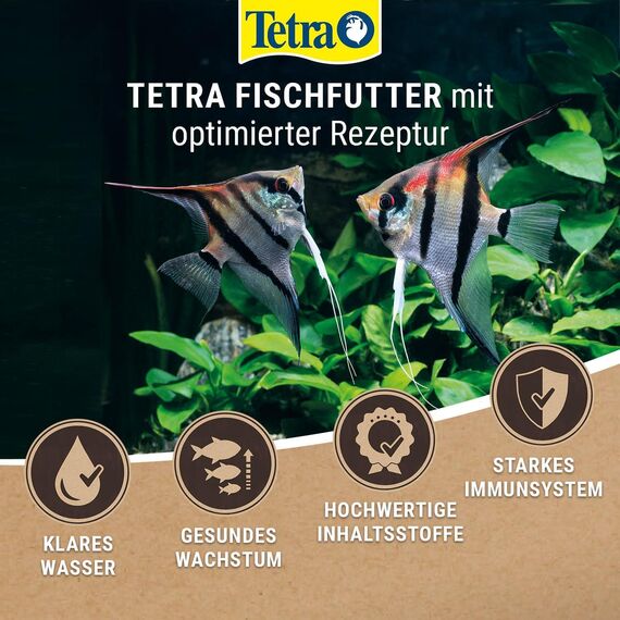 TetraMin XL Granules - langsam absinkendes Fischfutter für größere Zierfische in der mittleren Wasserschicht des Aquariums, 250 ml Dose