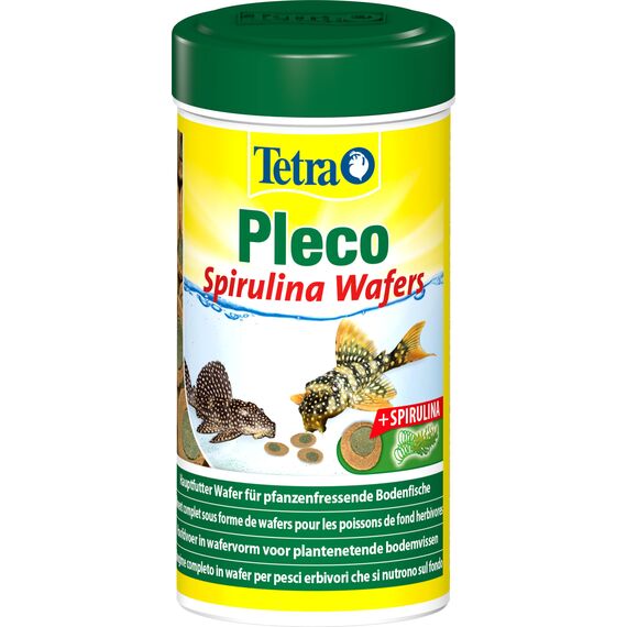 Tetra Pleco Algae Wafers - Fischfutter mit Spirulina-Algen für algenweidende Bodenfische, 250 ml Dose