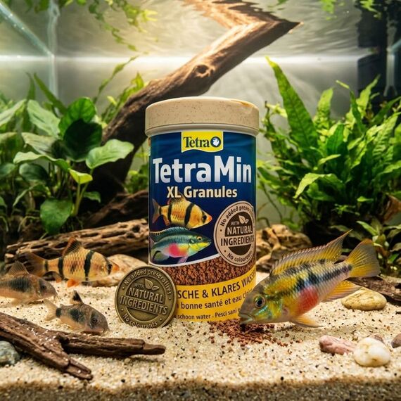 TetraMin XL Granules - langsam absinkendes Fischfutter für größere Zierfische in der mittleren Wasserschicht des Aquariums, 250 ml Dose
