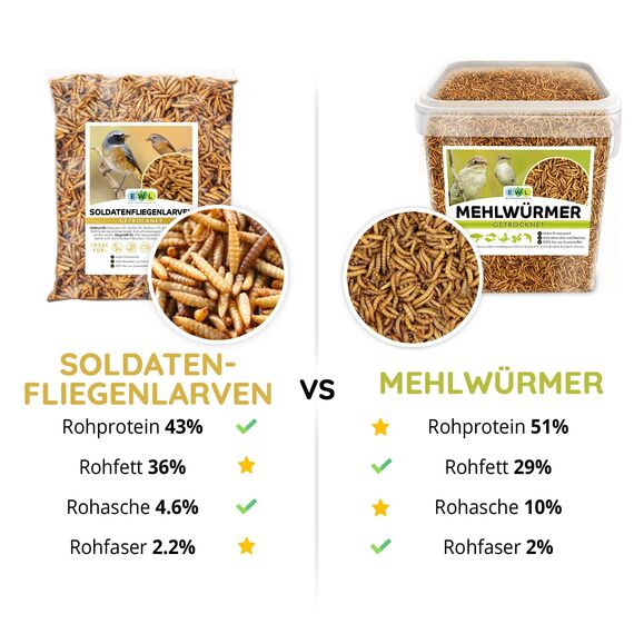 EWL Naturprodukte Soldatenfliegenlarven getrocknet 5 kg (32,5 L), Insektensnack für Vögel, Fische, Schildkröten, Nager, Reptilien, Vogelfutter, Fischfutter, Igelfutter, Wildvögel, ganzjährig