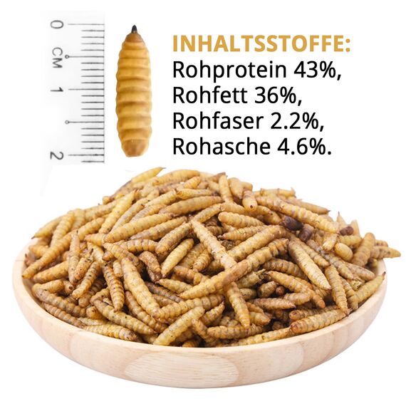 EWL Naturprodukte Soldatenfliegenlarven getrocknet 1 L (160 g), Soldatenfliegenlarven, Vogelfutter, Fischfutter, Schildkrötenfutter, Igelfutter mit Insekten