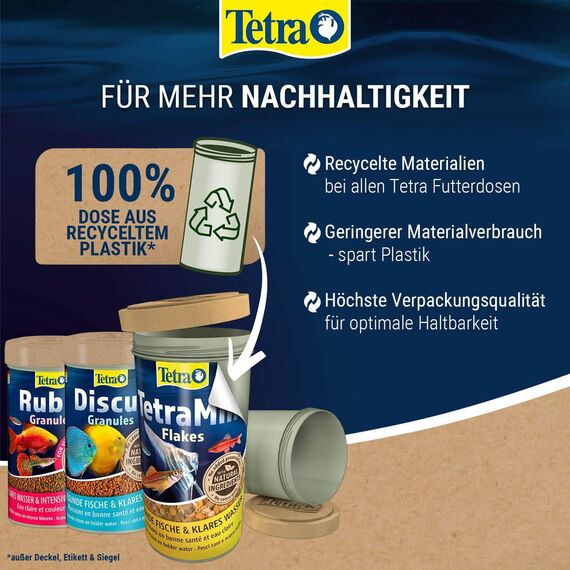 TetraMin XL Granules - langsam absinkendes Fischfutter für größere Zierfische in der mittleren Wasserschicht des Aquariums, 250 ml Dose