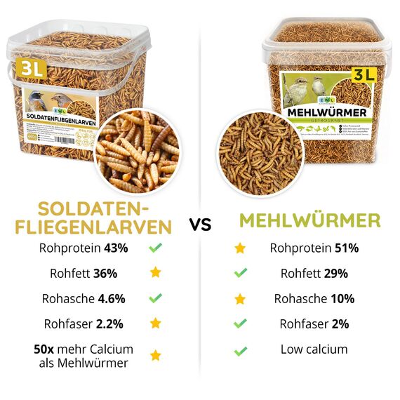 EWL Naturprodukte Soldatenfliegenlarven getrocknet 3 L (460 g), Premium Insektensnack Vögel, Fische, Schildkröten, Nager, Reptilien, Vogelfutter, Wildvögel, Ganzjährig Eichhörnchenfutter, Igelfutter