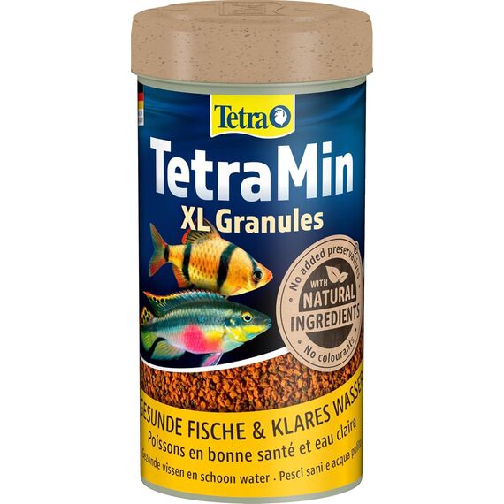 TetraMin XL Granules - langsam absinkendes Fischfutter für größere Zierfische in der mittleren Wasserschicht des Aquariums, 250 ml Dose