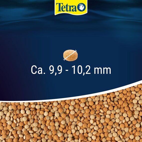 Tetra Tablets TabiMin - Tabletten Fischfutter für alle Bodenfische, z.B. Welse, Schmerlen oder bodengründelnde Barben, 120 Tabletten Dose
