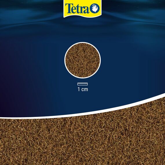 Tetra Delica Bloodworms Naturfutter - 100% gefriergetrocknete rote Mückenlarven, natürliche Snacks für Zierfische, 100 ml Dose