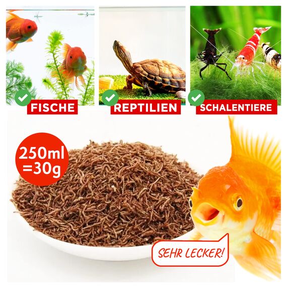 EWL Naturprodukte Rote Mückenlarven getrocknet 250 ml (30 g), Mückenlarven Fischfutter, Fischfutter Aquarium, geprüfte Qualität von deutschem Anbieter