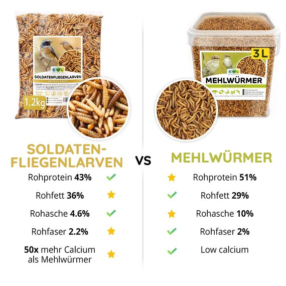 EWL Naturprodukte Soldatenfliegenlarven getrocknet 1,2 kg (7,8 Liter), Soldatenfliegenlarven, Vogelfutter, Fischfutter, Schildkrötenfutter, Igelfutter mit Insekten