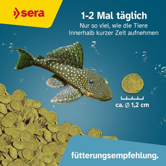 sera Pleco Chips 1.000 ml (380 g) | Wels Futtertabletten Chips für gesunde Bodenfische | Welsfutter Aquarium mit hoher Futterverwertbarkeit | Wels Futter | Fischfutter Aquarium | Made in Germany