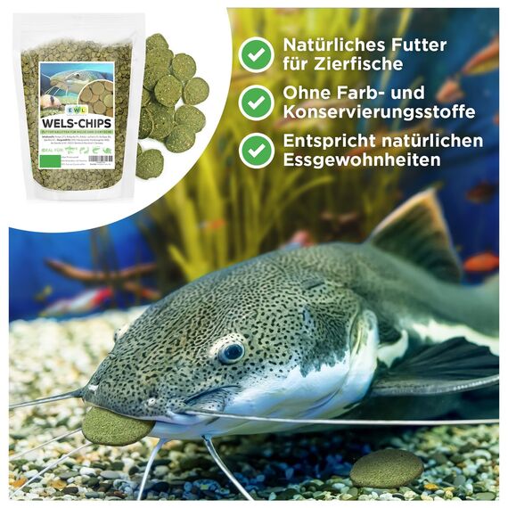 EWL Naturprodukte Wels Futtertabletten 2 kg (ca. 4 L), XXL Pack, Welsfutter, Wels Chips mit Spirulina, Fischfutter Aquarium, Welstabletten, geprüfte Qualität von deutschem Anbieter