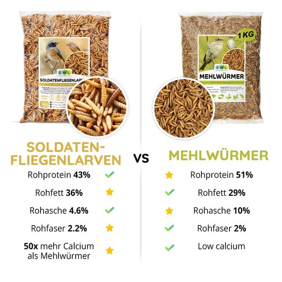 EWL Naturprodukte Soldatenfliegenlarven getrocknet 6,5 L (1 kg), Vogelfutter, Fischfutter, Schildkrötenfutter, Igelfutter mit Insekten