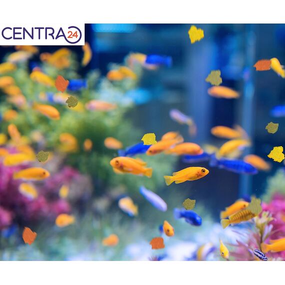 Centra24 Premium Fischfutter 1L, Futter-Flakes, Flocken - Hauptfuttermittel für alle Zierfische mit Vitaminen ohne Konservierungsstoffe, Aquarium, Süßwasserfisch